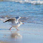 Impressionen8 Impressionen8