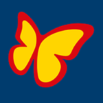 Schmetterling Schmetterling